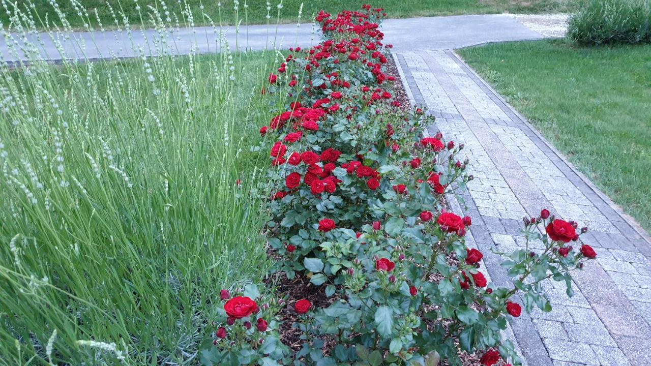 Apartmani Sanja คราพินสเก ทอปลิตเซ ภายนอก รูปภาพ
