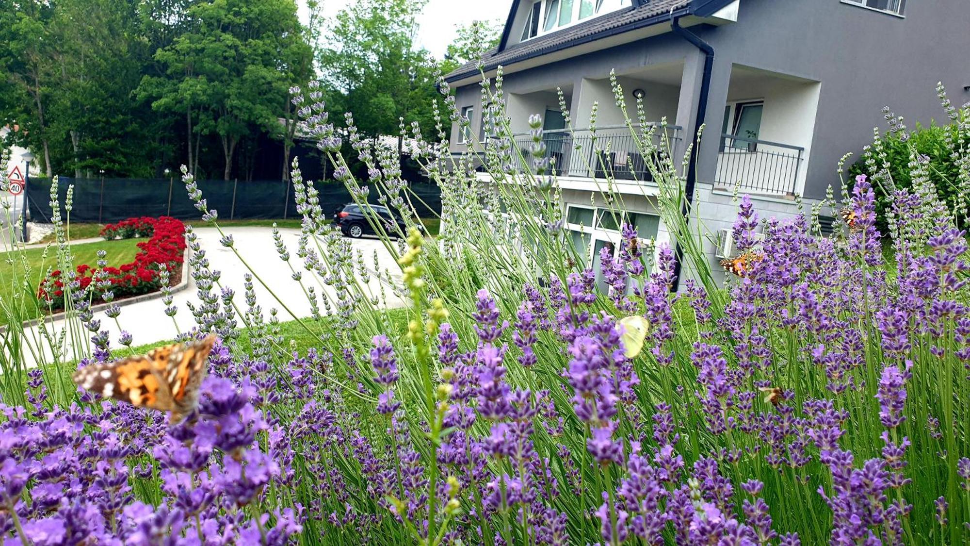 Apartmani Sanja คราพินสเก ทอปลิตเซ ภายนอก รูปภาพ